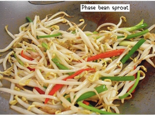 17. Phad Bean Sprouts